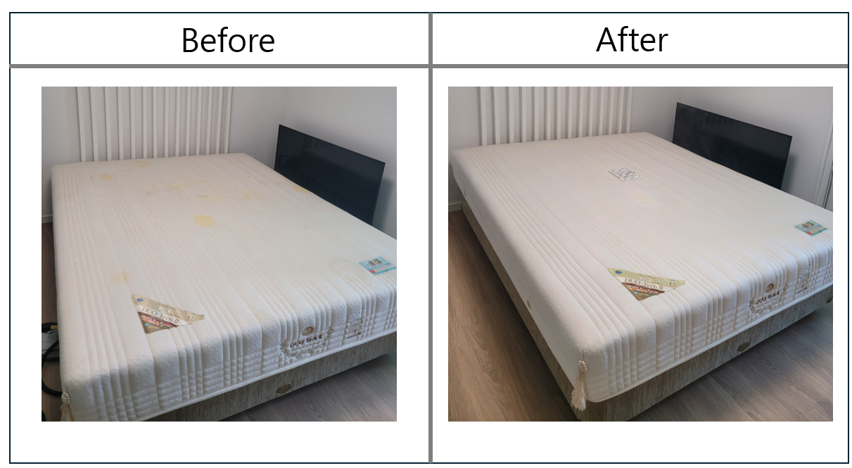 용인 침대 소변 얼룩 진드기 세탁 케어