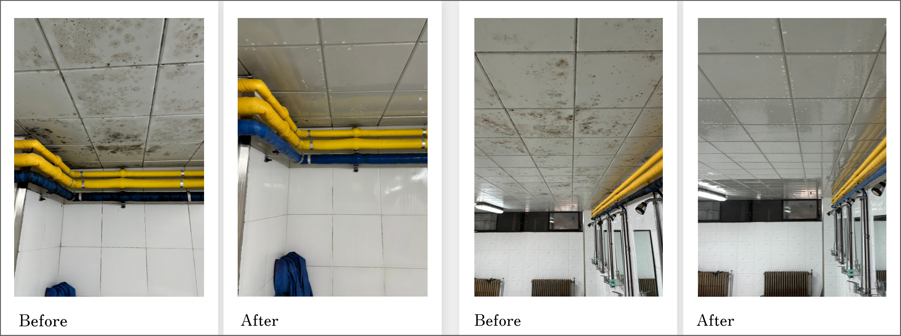 양천구 서울교통공사 샤워실 곰팡이제거