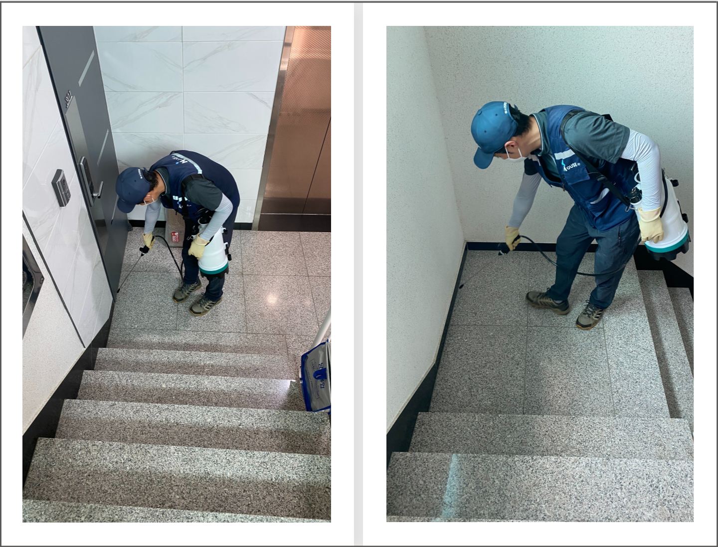 빌라/건물 해충방제