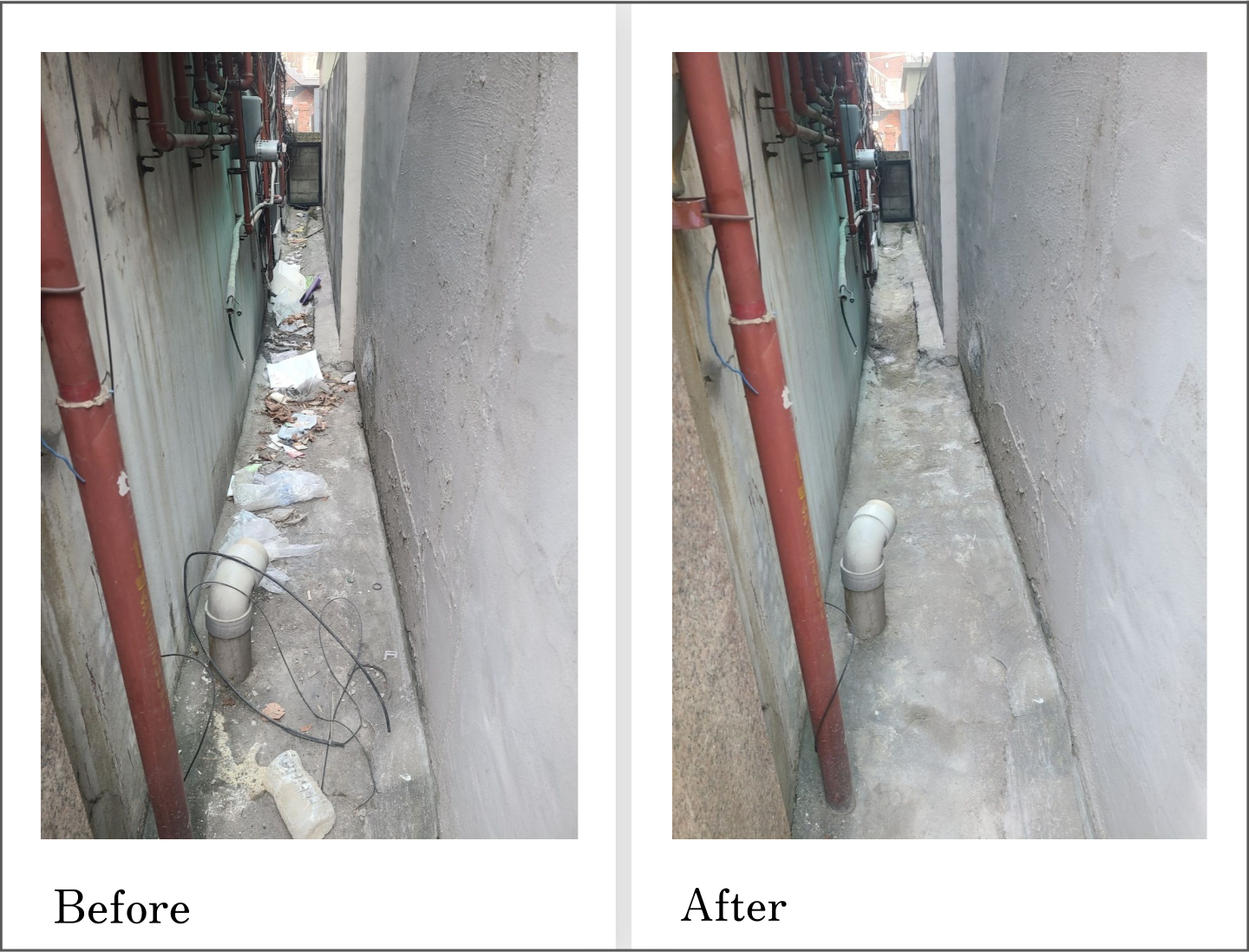 성수동 다가구 빌라 정기청소